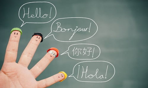 深圳無(wú)線(xiàn)產(chǎn)品英譯烏克蘭語(yǔ)說(shuō)明書(shū)完成，海外譯員僅用兩天效率交付